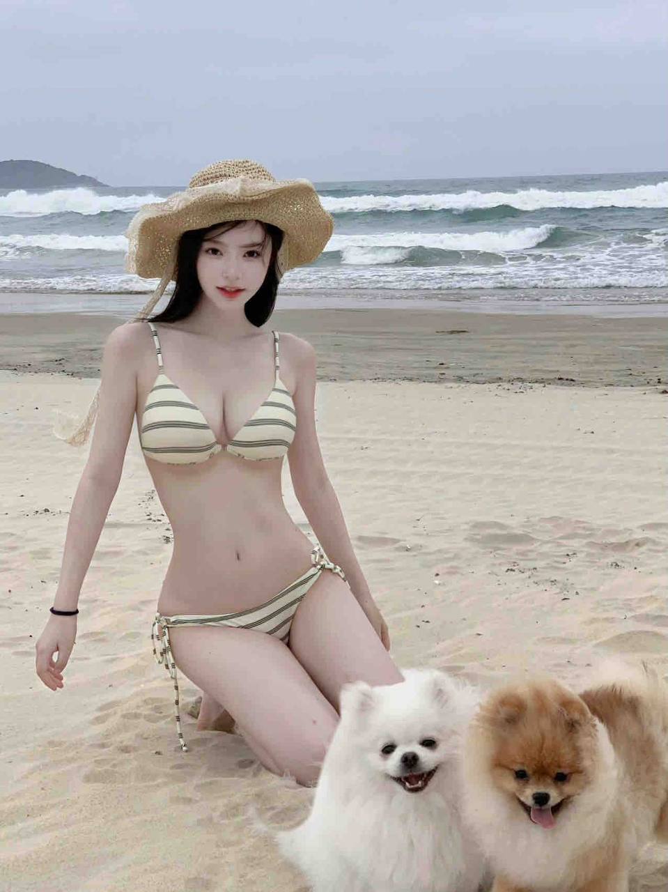 麻豆最新版网页